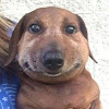 Максим Скрехин