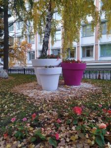 Фотография Администрация Кировского района 5