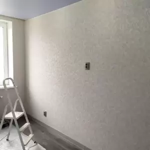 Фотография ПроффРемо 3